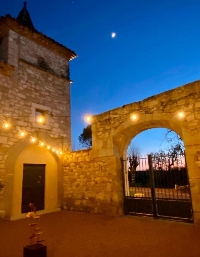 Domaine De Lejos - Portes D'Albi Lamillarie Ngoại thất bức ảnh