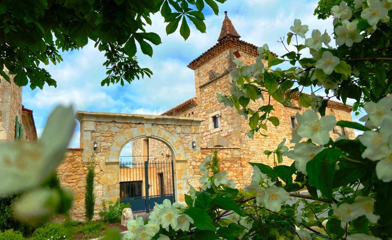 Domaine De Lejos - Portes D'Albi Lamillarie Ngoại thất bức ảnh
