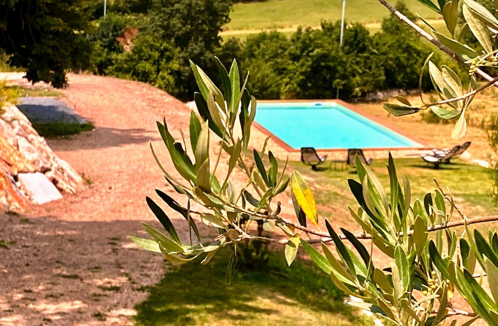 Domaine De Lejos - Portes D'Albi Lamillarie Ngoại thất bức ảnh